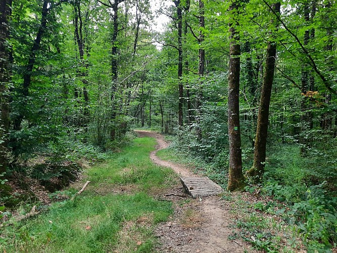 Sentier du Comité - Saint Prouant