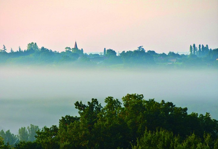 Circuit de la Vinouse