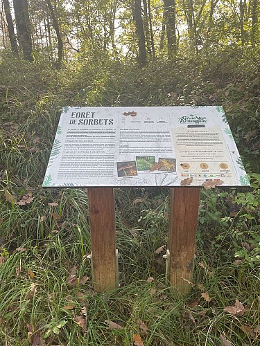 La Forêt de Sorbets - variante 2 - à pied_Cazaux-d'Anglès