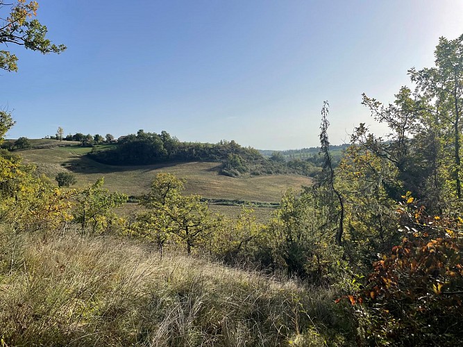 La Forêt de Sorbets - variante 2 - à pied_Cazaux-d'Anglès