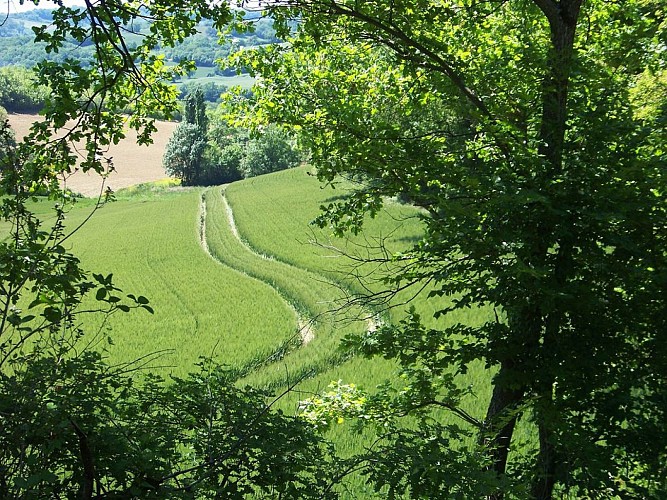 Le Circuit des Collines - à pied