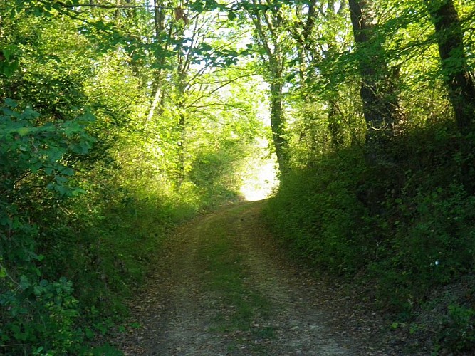 Le Circuit des Collines - à pied