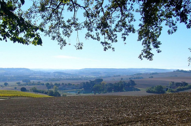 Le Circuit des Collines - à pied