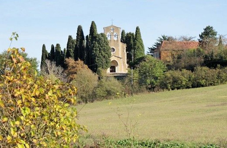 Le grand circuit de la forêt de Riguepeu