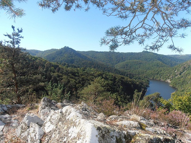 Rando de Vitrac à la vallée de la Sioule