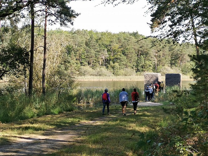 L'art dans le paysage