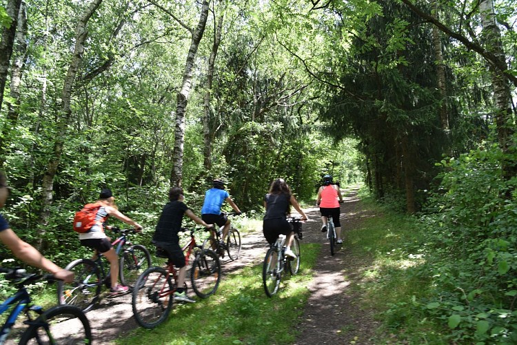 Arv'vélo - secteur Sallanches - VTC et VTT