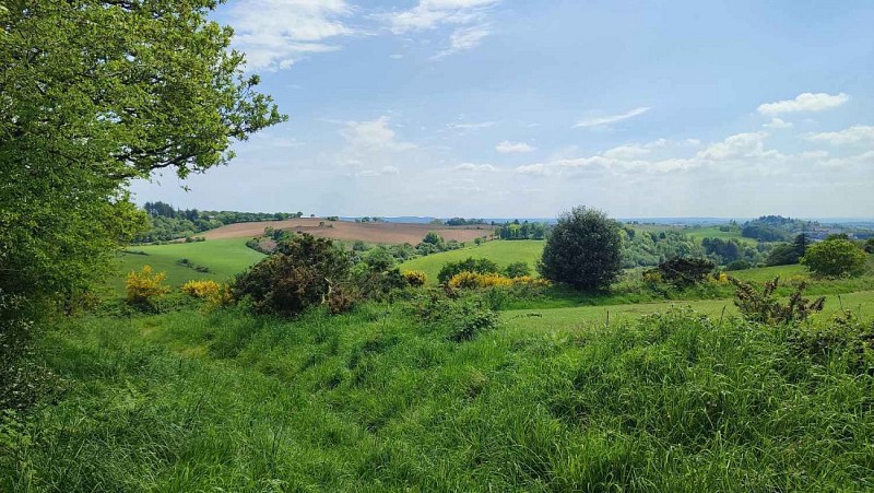 Vue campagne de Saint Gilles Pligeaux