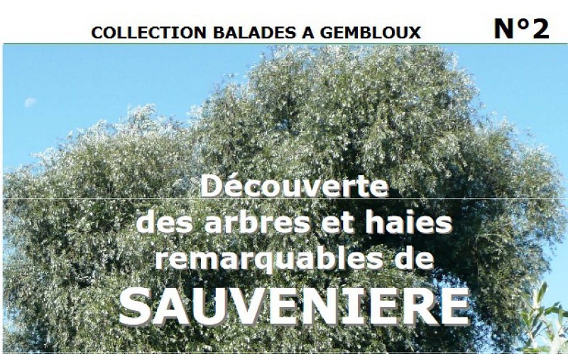 Balade à Sauvenière - "Découverte des arbres et haies remarquables"