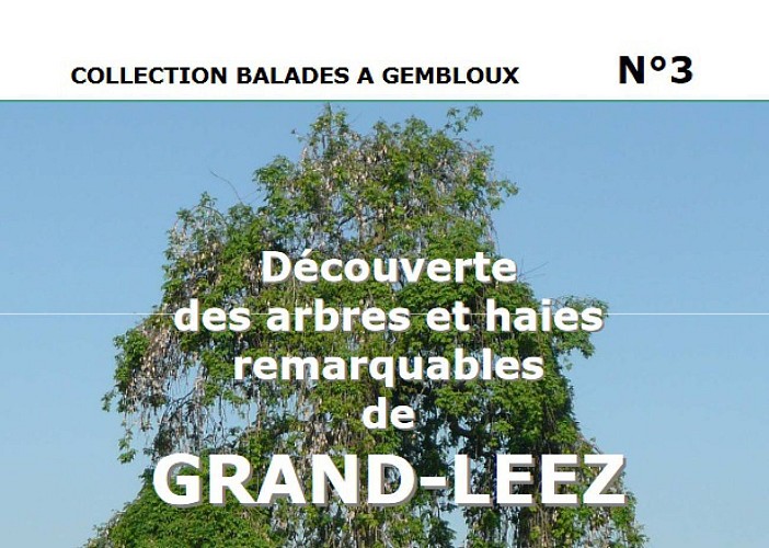 Balade à Grand-Leez - "Découverte des arbres et haies remarquables"