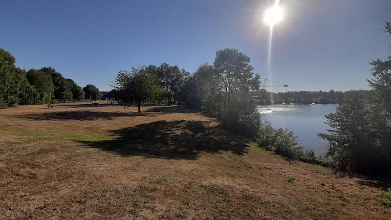 La forêt domaniale de Senonches