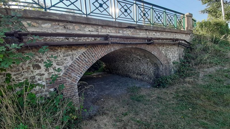 La forêt domaniale de Senonches
