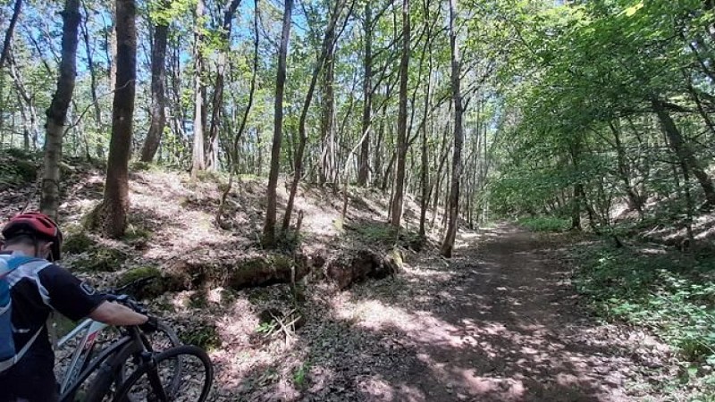 La vallée de la Vinette