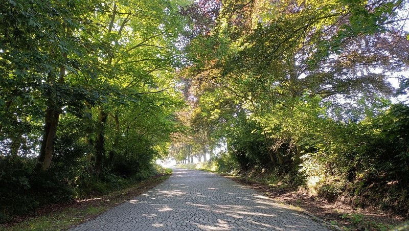 Lonzée juin 2023 (3)