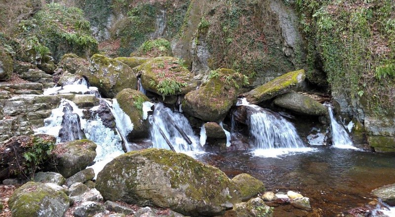 Balade au ruisseau du Bassin (Pélussin)