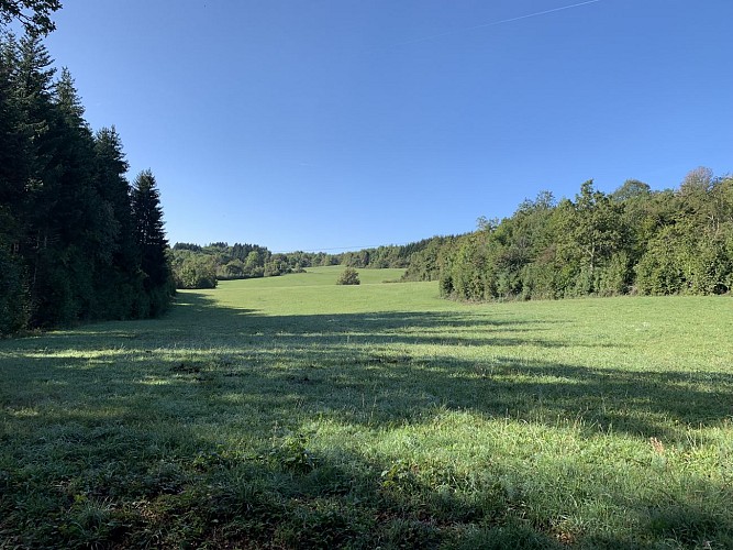 Le sentier de mémoire d'Evosges