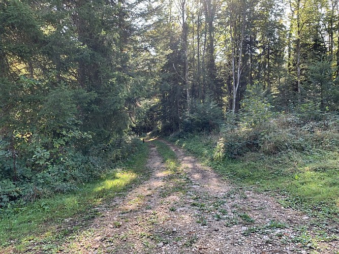 Le sentier de mémoire d'Evosges