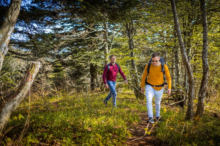 Hiking path: la Cave aux Fées