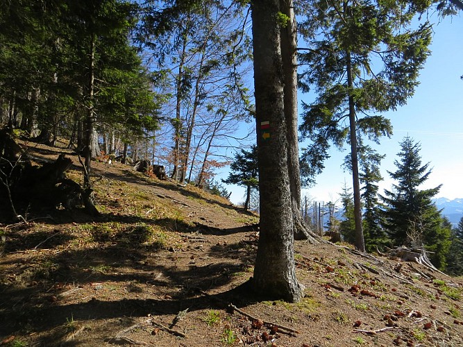 Hiking path: la Cave aux Fées