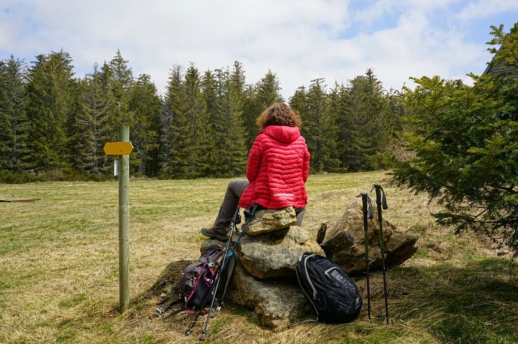 Randonnée puy de Chambourguet - La Tour-d'Auvergne