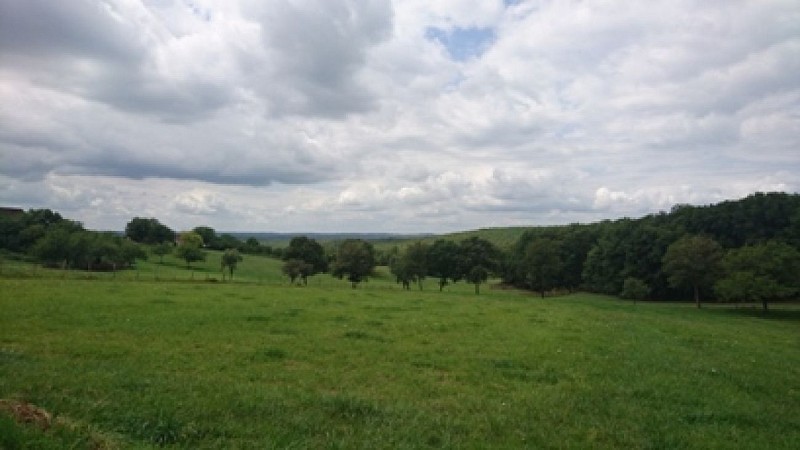 paysagelaudonie.jpg1