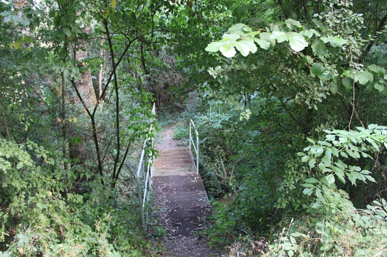 Passerelle sur la ranconnée de Buxières-les-Mines