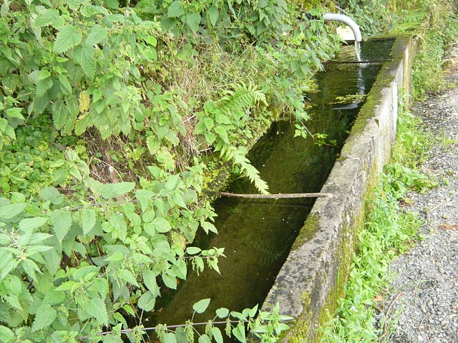 Le plateau de Tauves