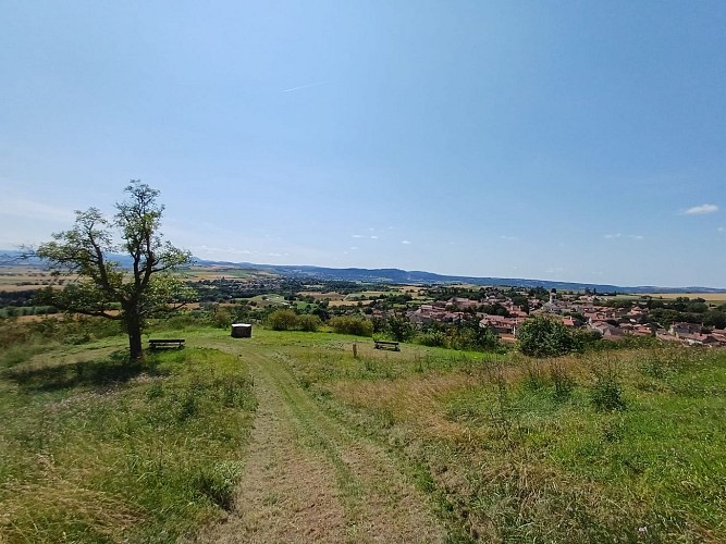 The Palm Cross and the puy Saint-Jean_Artonne