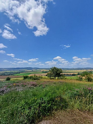 La croix des Rameaux et le puy Saint-Jean_Artonne