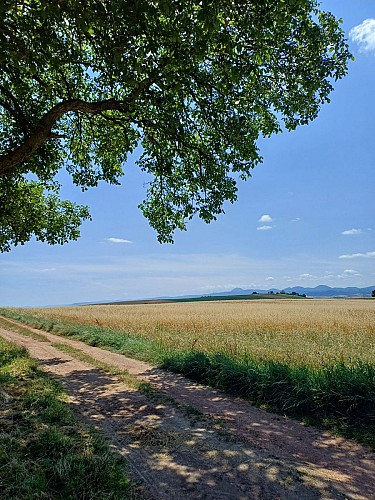 La croix des Rameaux et le puy Saint-Jean_Artonne
