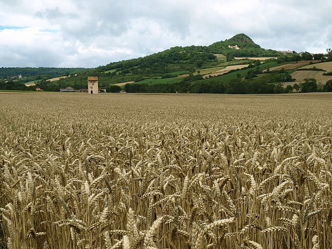 ITI0172-VODABLE-ET-COLAMINE-A6313AUV063V5084ML