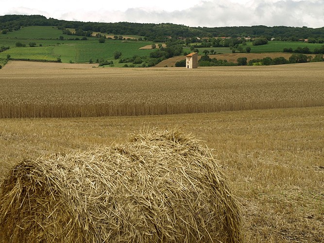 ITI0172-VODABLE-ET-COLAMINE-A6313AUV063V5084ML