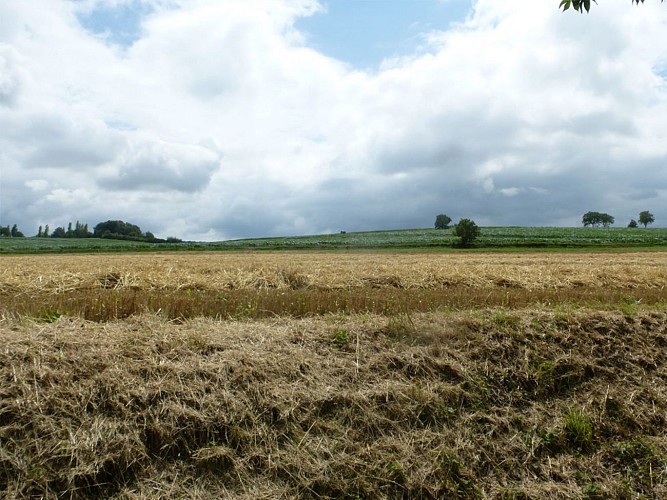 Les Croix Basses