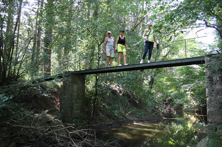 Randonneurs à Vieure