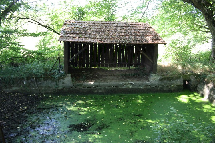 Lavoir - Vieure