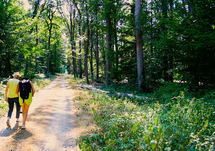 Randonneuses sur un chemin à Vieure