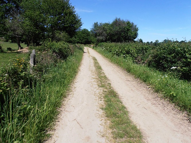 Randonnée à l'étang de Chancelade