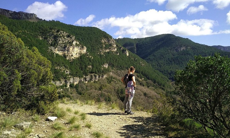 PROJET TRAIL DU CIRQUE DU BOUT DU MONDE