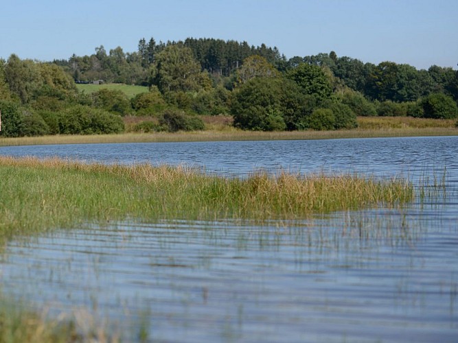 ITI0651-L-ETANG-DE-FARGES-A6313AUV063V508NJJ