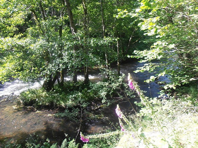 le long de la Sioule