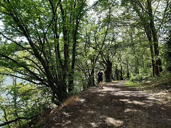 Parcours Marche Pont Du Bouchet Miremont