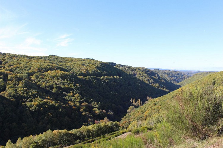 Le Vallon de la Viouze