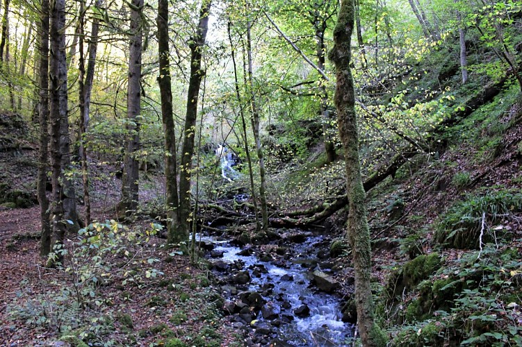 Le vallon de la Viouze