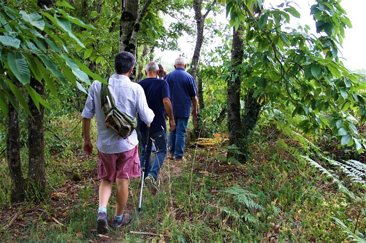 Randonneurs à Louroux-Bourbonnais le long du sentier présentant les espèces représentatives du Bocage