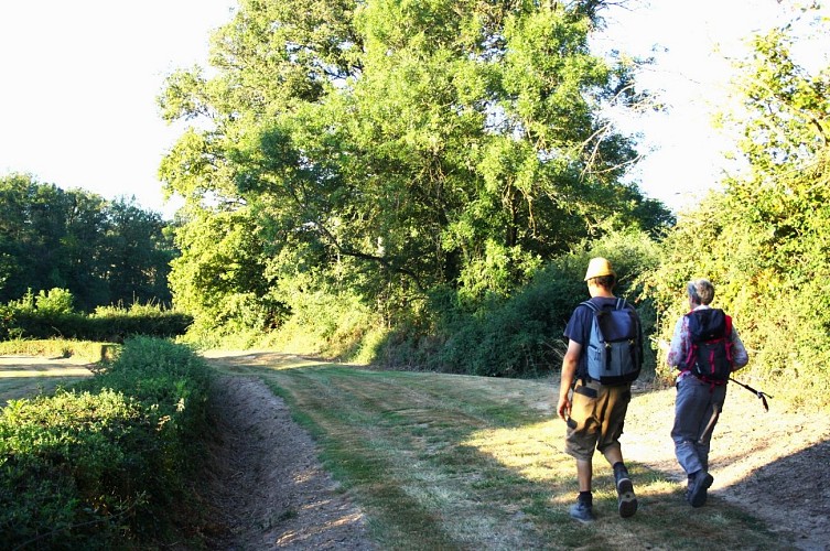 Randonneurs sur un chemin à Ygrande