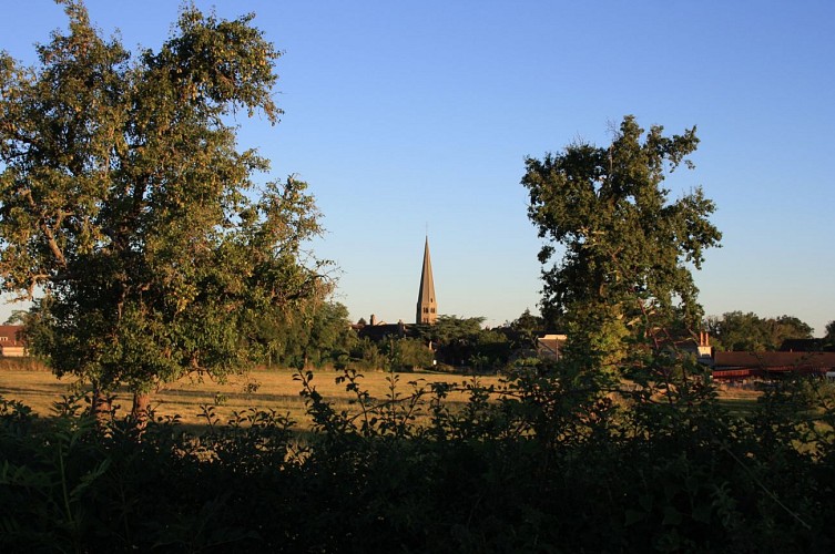 Circuit de la Fontaine Jayère au Château du Mont - PR 23