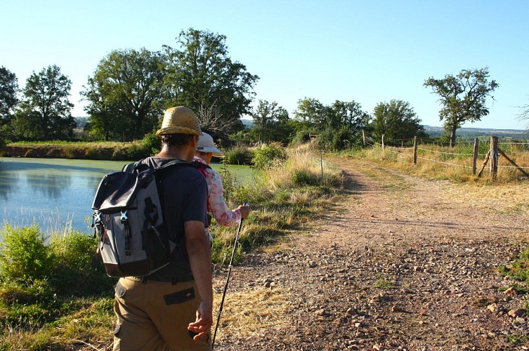 Circuit de la Fontaine Jayère au Château du Mont - PR 23