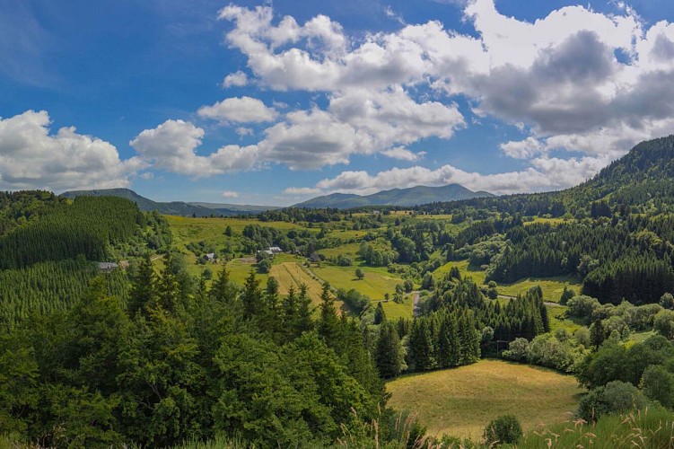 Vue depuis la roche de Vendeix_La Bourboule