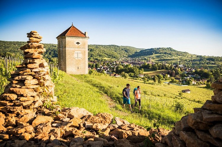 Randonnée à Arbois - Tour Curon