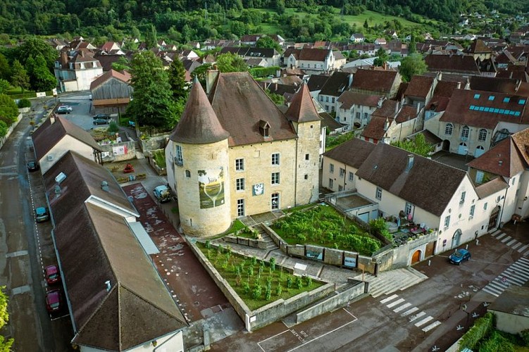 Château Pécauld - Musée de la Vigne et du Vin - Vue Drone
